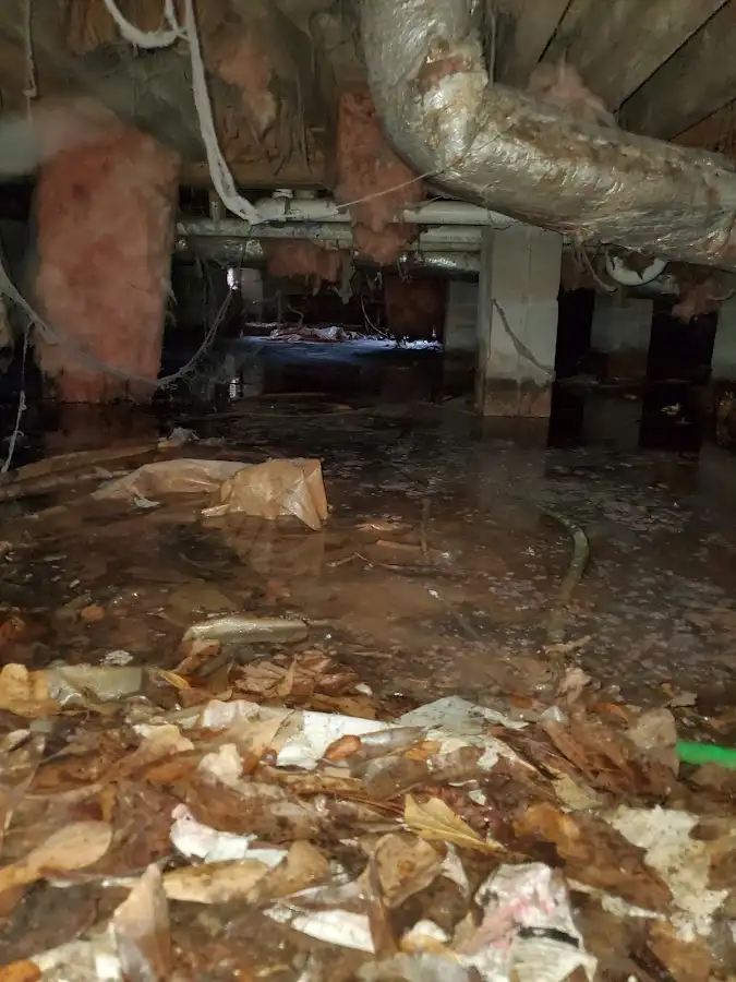 Crawl space flood assessment for Leak Detection & Repair in Munhall