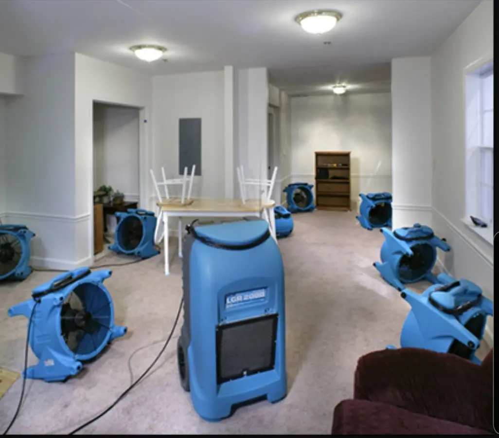 Air movers and dehumidifier setup for Water Extraction & Removal in Munhall