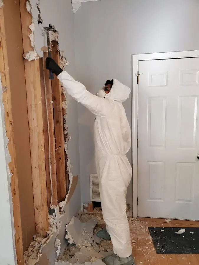 Emergency Water Damage Services in Munhall, PA